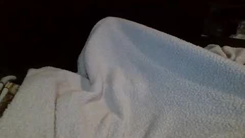 Snapshot of eu369033 chatting on 25, 2, 2026 eu369033 online show from 25, 2, 2026