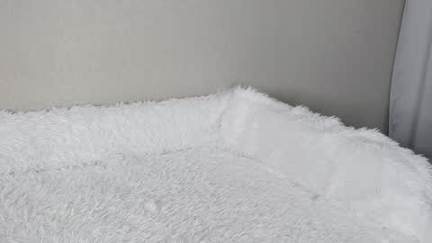 Snapshot of eva_varnerr chatting on 3, 2, 2025 eva varnerr online show from 3, 2, 2025