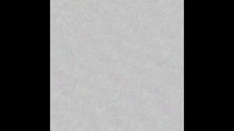 Snapshot of evangeline_bell chatting on 29, 1, 2025 Eva online show from 29, 1, 2025