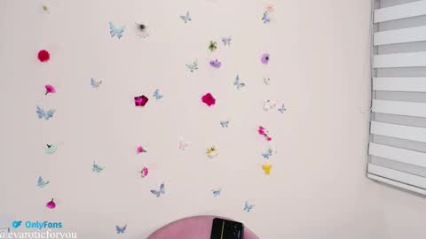 Snapshot of evarotic chatting on 4, 11, 2025 Eva online show from 4, 11, 2025