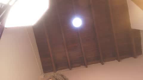 Snapshot of evelonga_707 chatting on 10, 6, 2026 DAYANITA online show from 10, 6, 2026