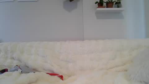 Snapshot of evillers1 chatting on 9, 7, 2026 Badblondebunny online show from 9, 7, 2026