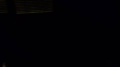 exhibitman69_ldb online show from 30, 10, 2025