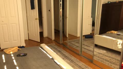 exhibitp online show from 9, 2, 2025