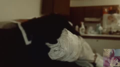 Exoticlexxii online show from 9, 9, 2025