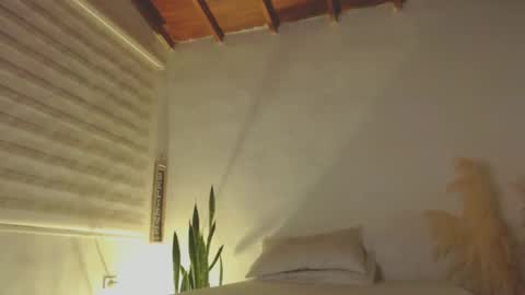 -  A N D E R online show from 8, 1, 2025