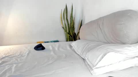 -  A N D E R online show from 24, 10, 2025