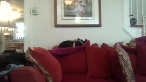 Snapshot of fairmount31 chatting on 7, 11, 2025 fairmount31 online show from 7, 11, 2025