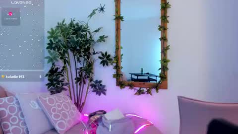 Faloon online show from 7, 11, 2025