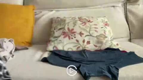 falupy online show from 24, 4, 2026