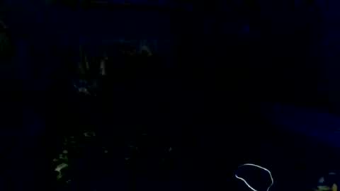 Snapshot of fancie8 chatting on 2, 7, 2026 Fancie8 online show from 2, 7, 2026