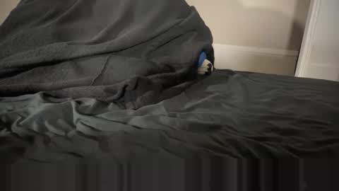 Fango online show from 12, 1, 2026