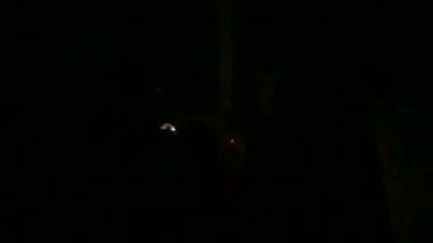 Snapshot of fantasticdeee chatting on 6, 1, 2025 fantasticdeee online show from 6, 1, 2025