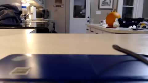 Snapshot of farmgirl__ chatting on 11, 10, 2025 FarmGirl and Daddy online show from 11, 10, 2025