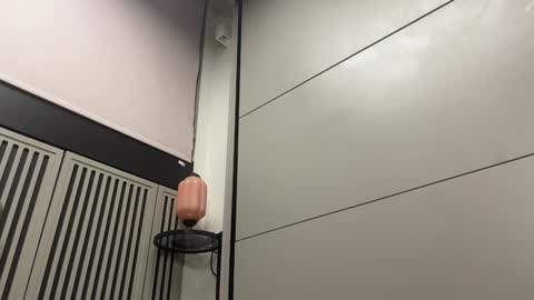 Gattino online show from 20, 12, 2024