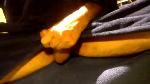 fastoys aka ...what ever.. online show from 12, 3, 2026