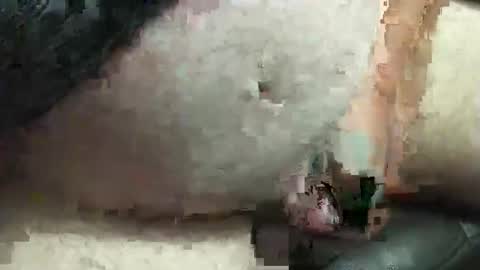 Snapshot of fatdaddy4you chatting on 20, 9, 2025 fatdaddy4you online show from 20, 9, 2025