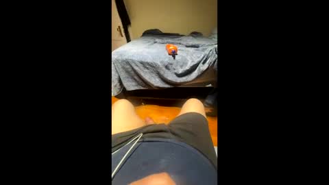 Snapshot of fatz71056 chatting on 22, 11, 2025 fatz71056 online show from 22, 11, 2025