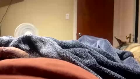 Snapshot of fatz71056 chatting on 23, 12, 2025 fatz71056 online show from 23, 12, 2025