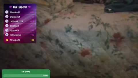 Snapshot of feetnymph chatting on 15, 2, 2025 Soley online show from 15, 2, 2025