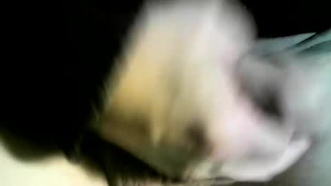 Snapshot of felicaste chatting on 9, 2, 2025 felicaste online show from 9, 2, 2025