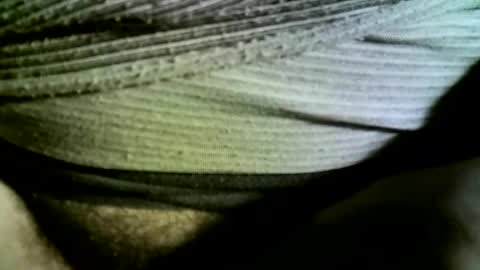 Snapshot of felicaste chatting on 14, 2, 2025 felicaste online show from 14, 2, 2025