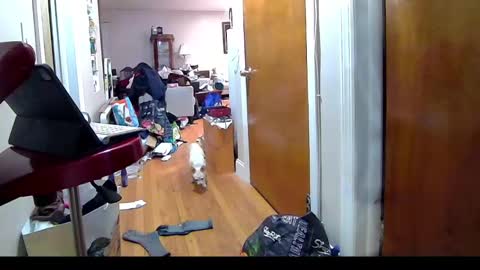 Snapshot of felicitybliss29 chatting on 6, 11, 2025 felicitybliss29 online show from 6, 11, 2025