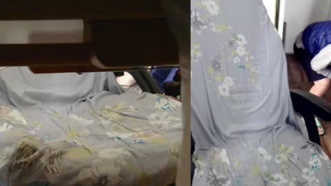 Snapshot of felixlau chatting on 7, 1, 2025 felixlau online show from 7, 1, 2025