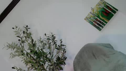 Snapshot of femboy_veronica chatting on 3, 5, 2026 femboy_veronica online show from 3, 5, 2026