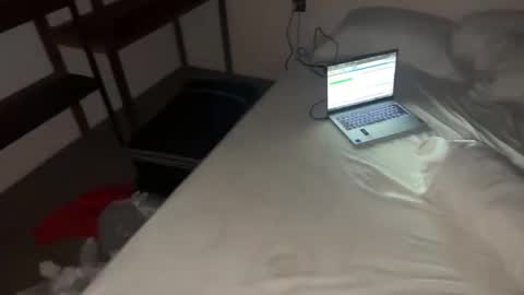 Dani online show from 12, 11, 2025