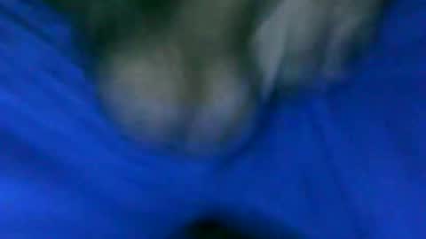 Snapshot of fer_2197 chatting on 23, 1, 2025 fer_2197 online show from 23, 1, 2025