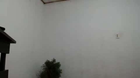 fernandez_latinblack online show from 2, 12, 2024