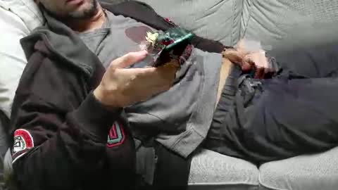 Fid online show from 2, 11, 2025