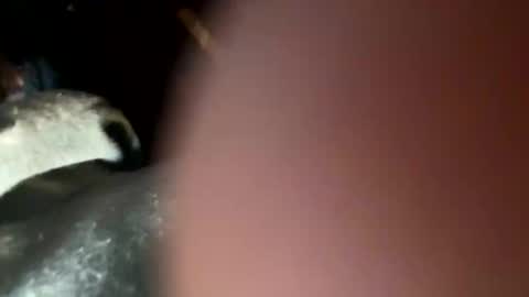 Snapshot of fieldmousebby chatting on 12, 11, 2025 fieldmousebby online show from 12, 11, 2025