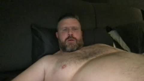 fin bear dom online show from 10, 5, 2026