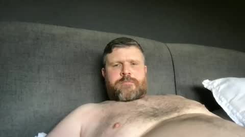 fin bear dom online show from 21, 5, 2026