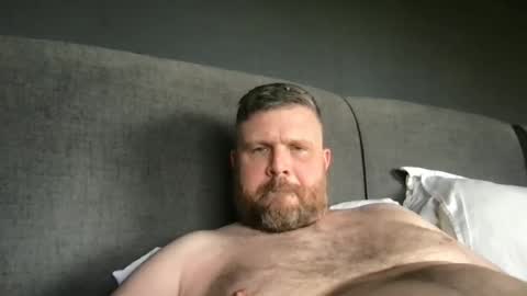 fin bear dom online show from 23, 5, 2026