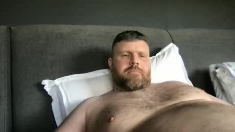 fin bear dom online show from 25, 5, 2026