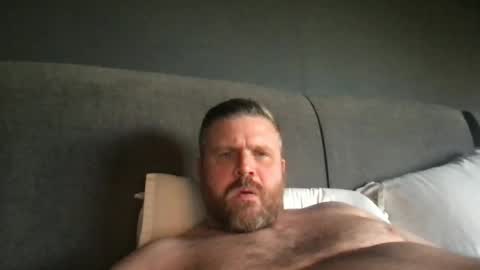 fin bear dom online show from 14, 6, 2026