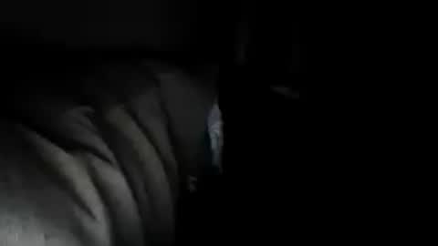 Brandon online show from 16, 7, 2026