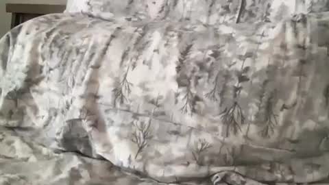 FitCollegeStudxx online show from 17, 2, 2025