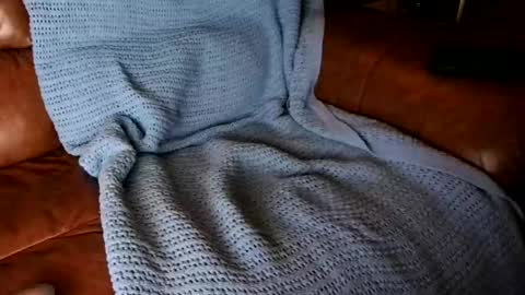 Snapshot of fitstevie1 chatting on 16, 1, 2025 fitstevie1 online show from 16, 1, 2025