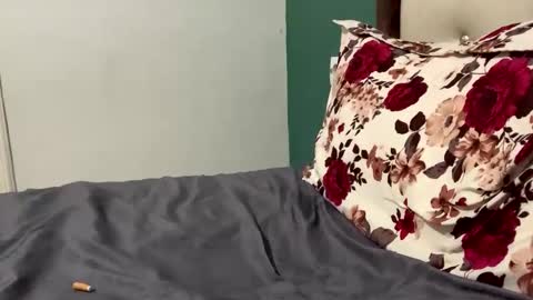 FittBoy online show from 28, 3, 2026