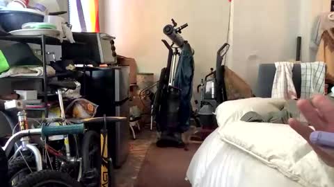 francis keith gibson online show from 8, 1, 2025