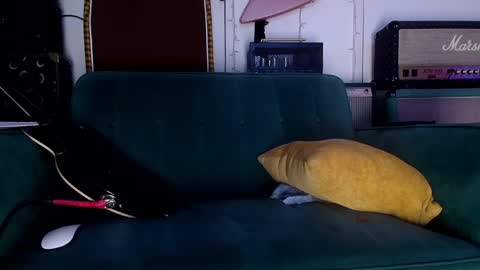 Snapshot of flanneldong chatting on 23, 5, 2026 Flannel Dong online show from 23, 5, 2026