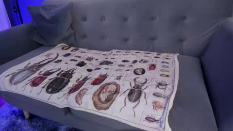 Its a pleasure to meet you. Im Flower. Help me reach 1k. Follow me. online show from 7, 3, 2026