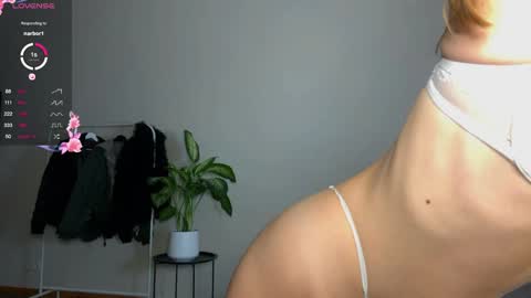 Flower online show from 28, 12, 2024