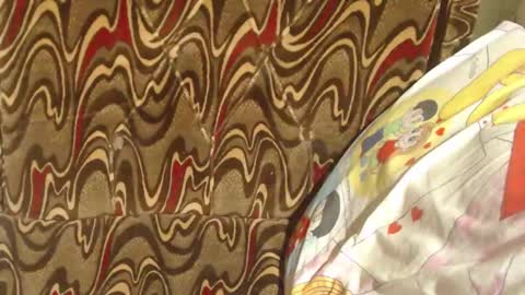 say meow and send tip  online show from 24, 2, 2025