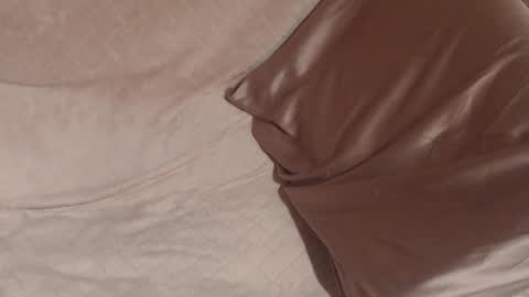 say meow and send tip  online show from 21, 12, 2025