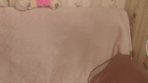 say meow and send tip  online show from 17, 3, 2026